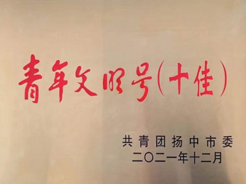 征途国际电气集团喜获扬中市“十佳青年文明号”称号