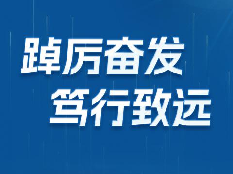 一图读懂征途国际电气2024年半年报