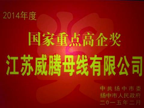 征途国际母线公司获“国家重点高企”奖