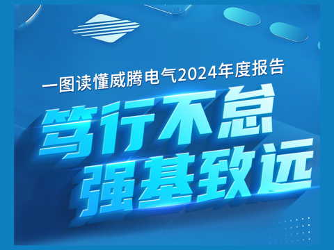 一图读懂征途国际电气2024年度报告